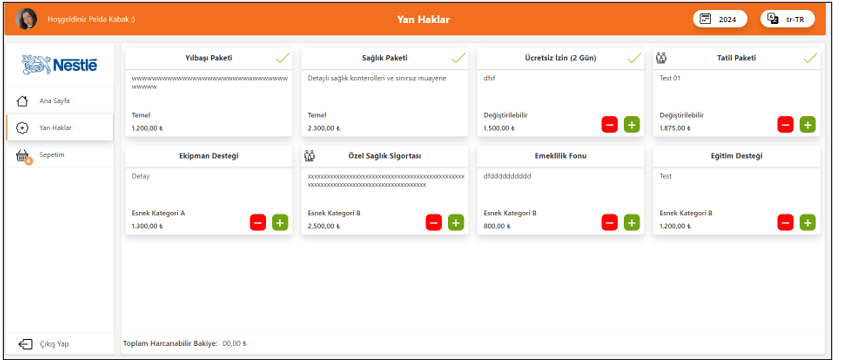 PowerApps Flexible Benefits System | Renk Bilişim
